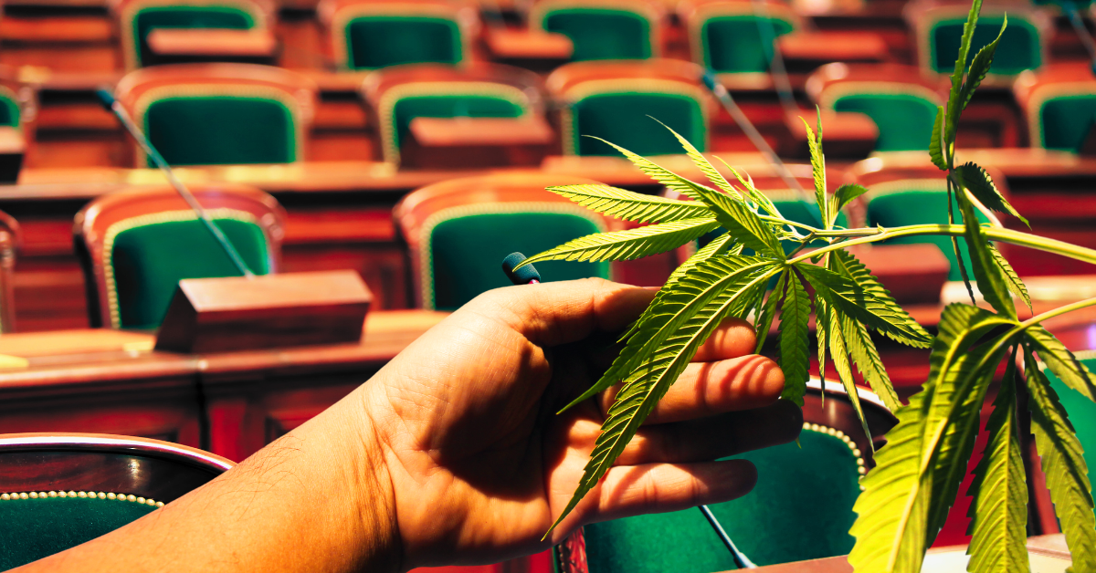 FL Legalization Bill Dead on Arrival Senator Smith Democrats Tried