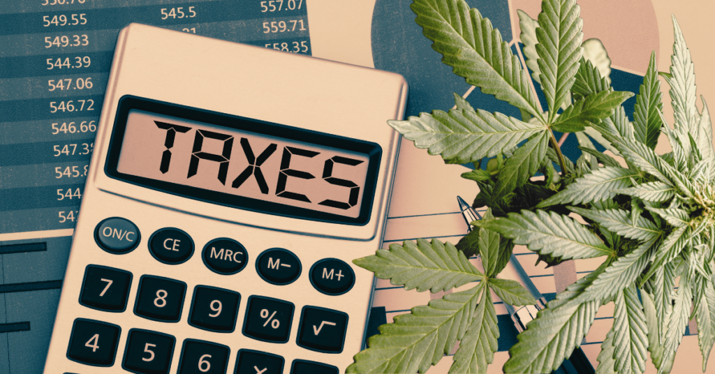 What Schedule III Cannabis Really Means for US Businesses